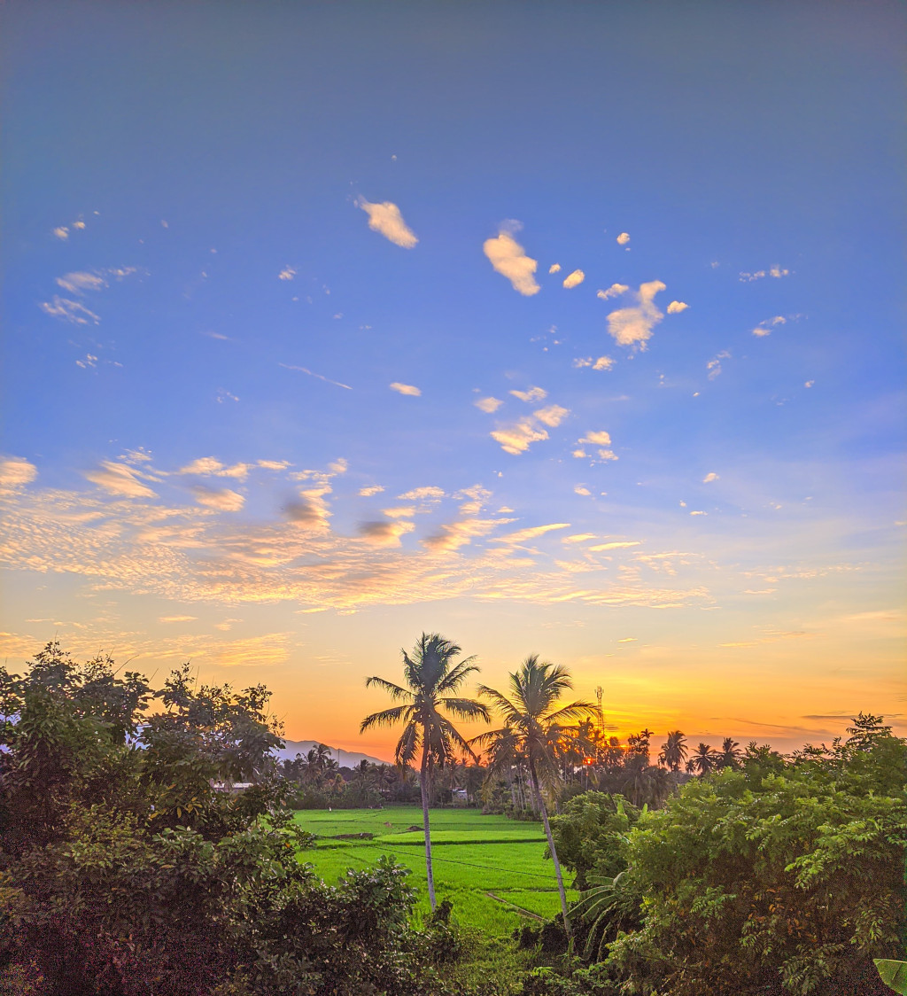 Persawahan Gampong Bakcirih dengan sunset yang indah